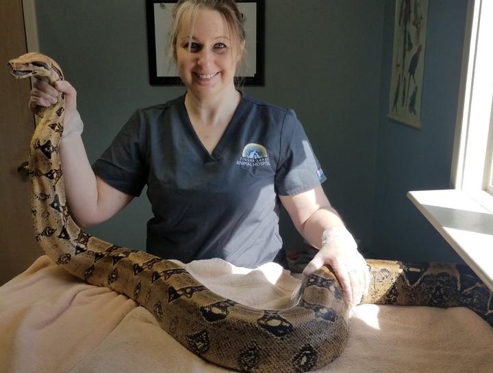 exotic animal vet near me cheap