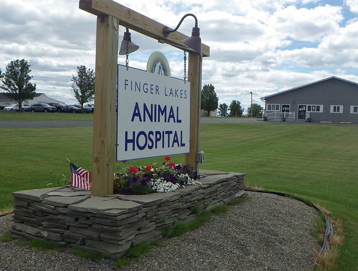 Canandaigua NY pet hospital