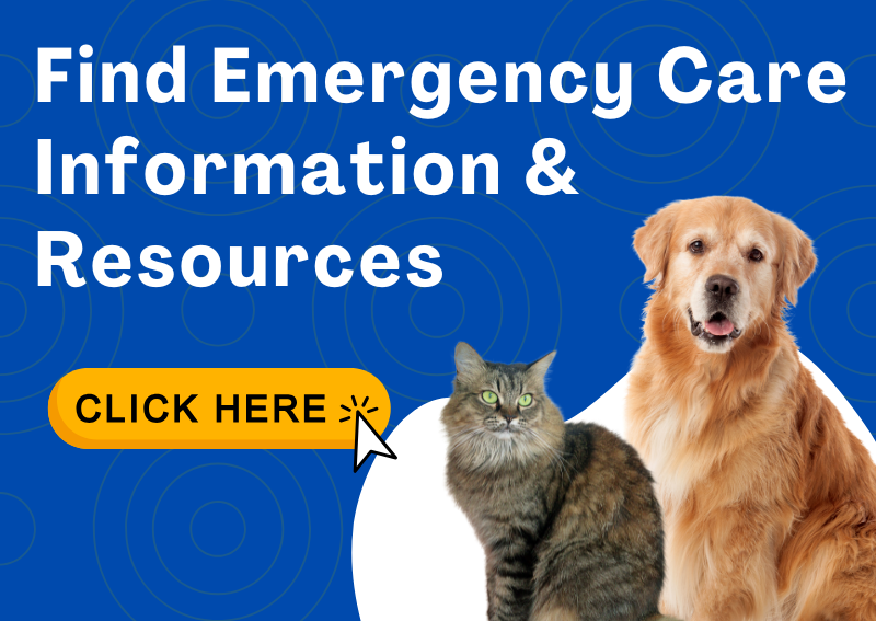 Carousel Slide 3: Find Emergency Pet Care