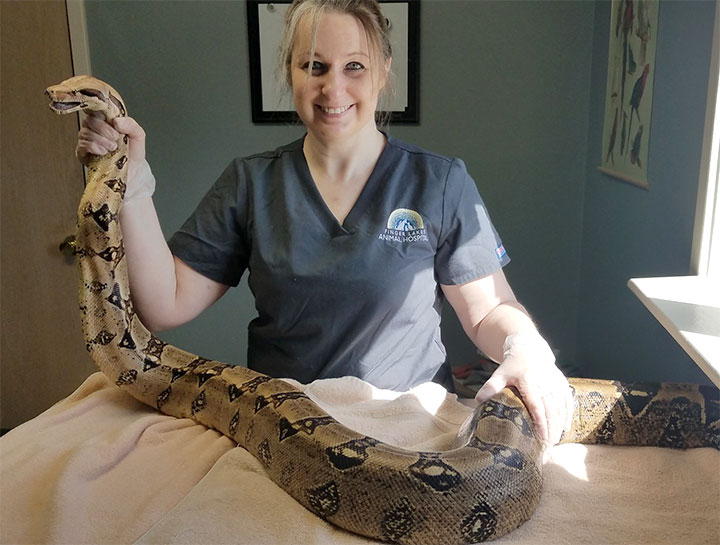 Annual Care Is Important for Exotic Pets, Too